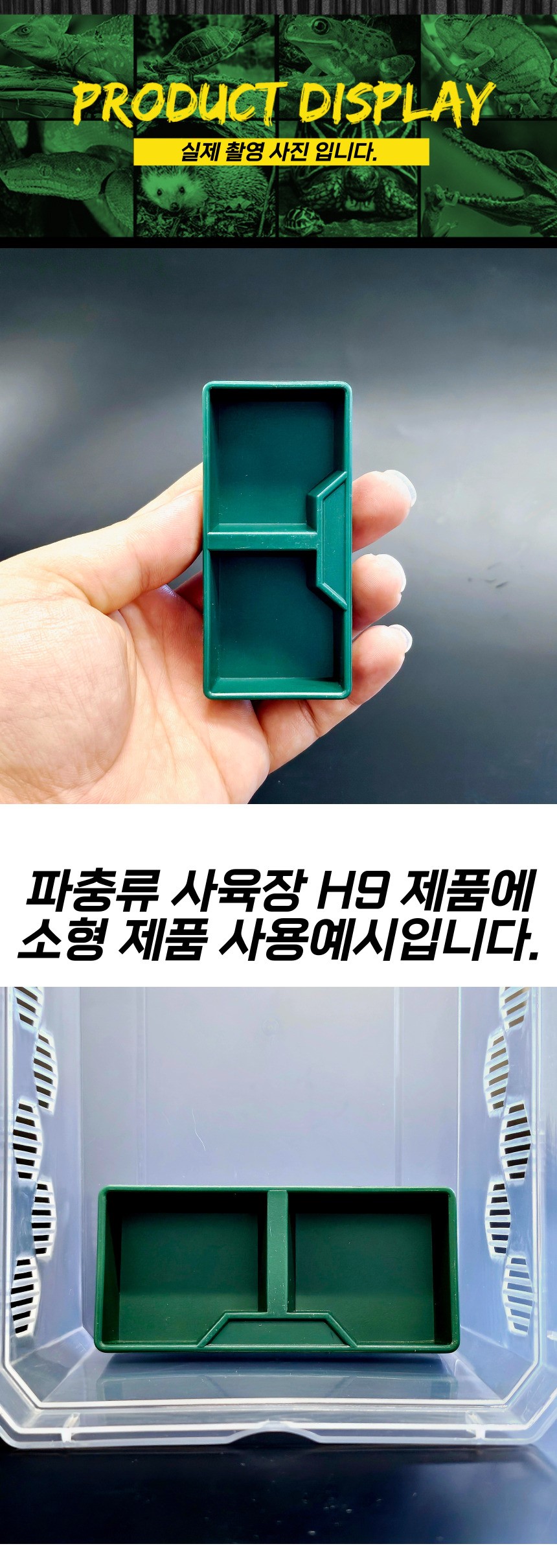 파충류 사육장 사각 2구 먹이 물 그릇, 그린, 소형, 1개 상세 이미지 2