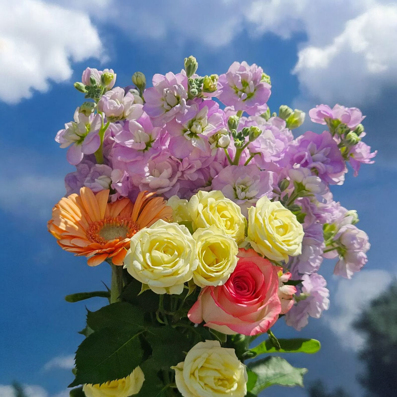 꽃돌이네 제철 생화 꽃다발, 1개