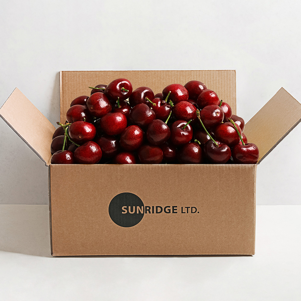 칠레산 생체리 10.5~10R 500G