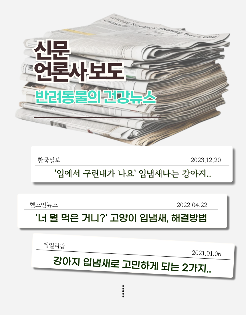 도지아 강아지 고양이 치석제거 바르는 치약, 80g, 1개 상세 이미지 4