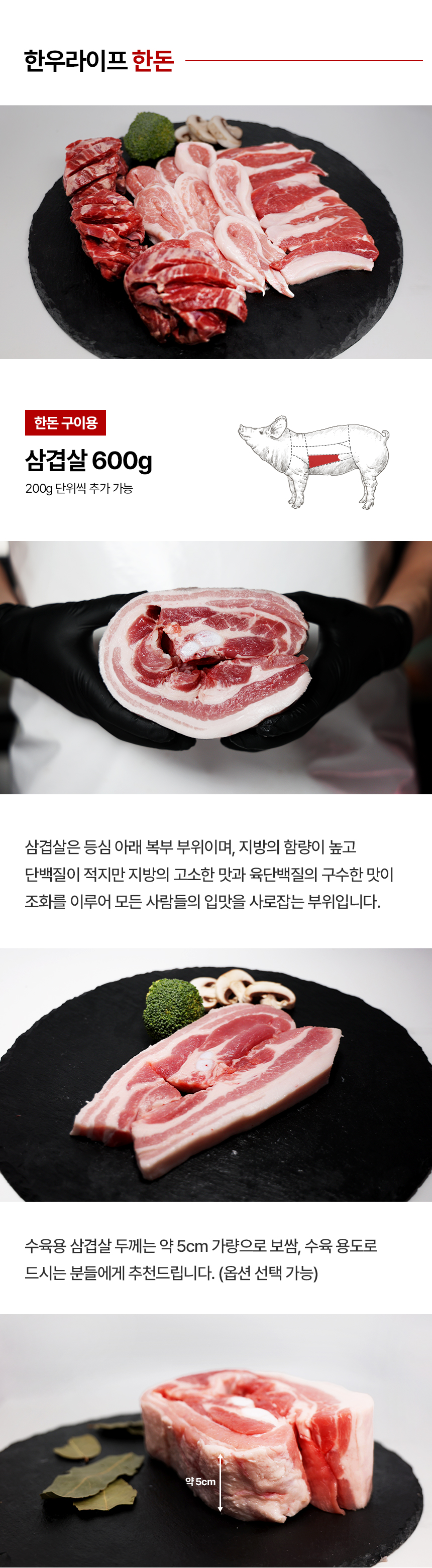 한우라이프 무항생제 한돈 생삼겹살, 400g, 1팩