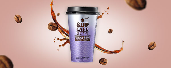앤업카페 돌체라떼, 300ml, 10개