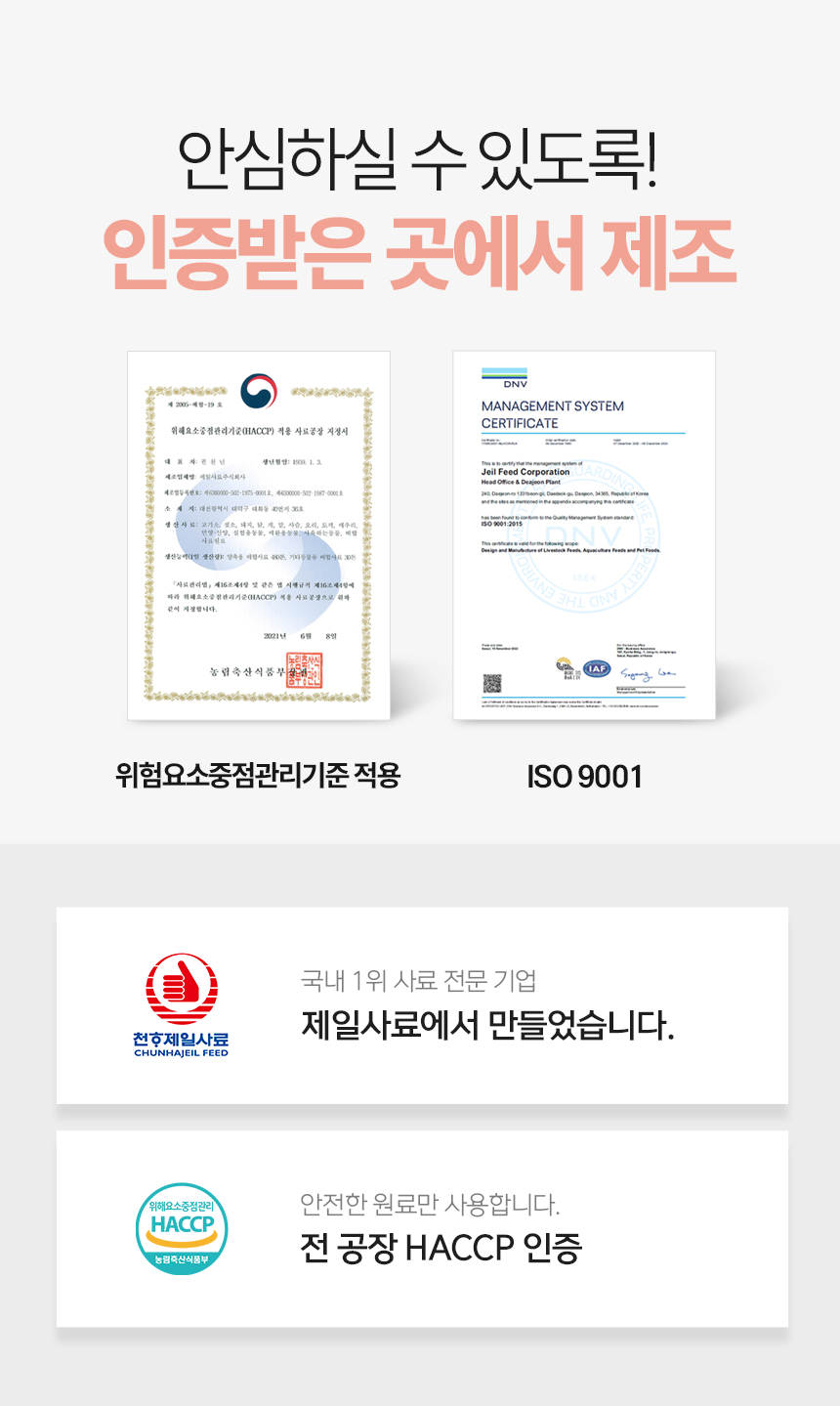 다먹어줄개 강아지 사료, 소중형견전용, 2kg, 1개
