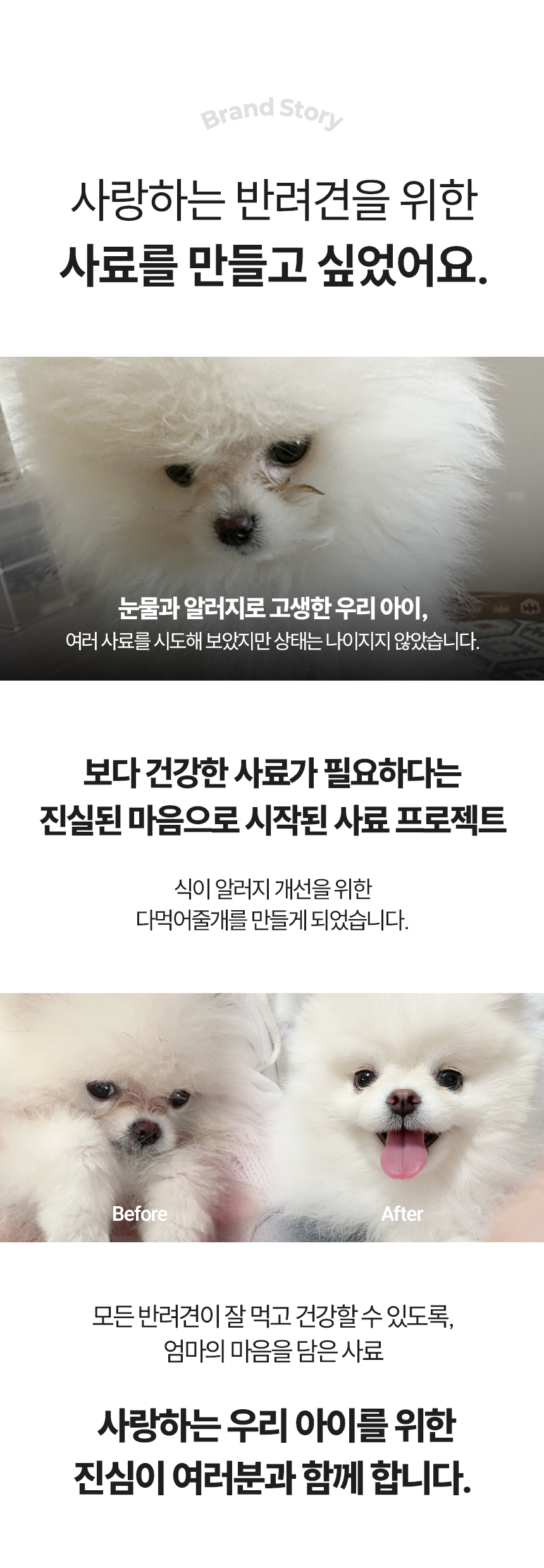다먹어줄개 강아지 사료, 소중형견전용, 2kg, 1개 상세 이미지 1