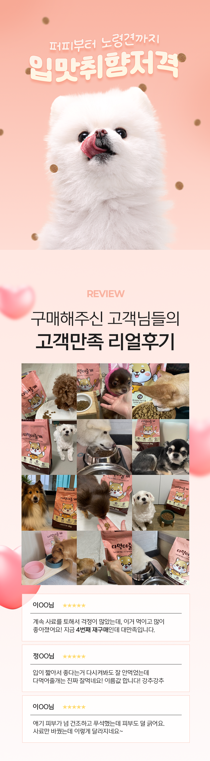 다먹어줄개 강아지 사료, 소중형견전용, 2kg, 1개 상세 이미지 3