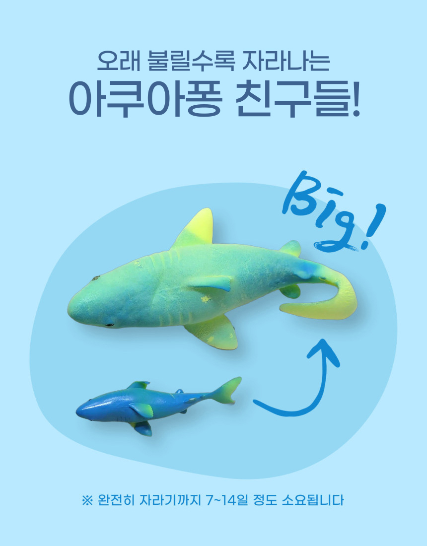 아쿠아퐁 바다 친구들, 스피노사우루스, 1개 상세 이미지 2