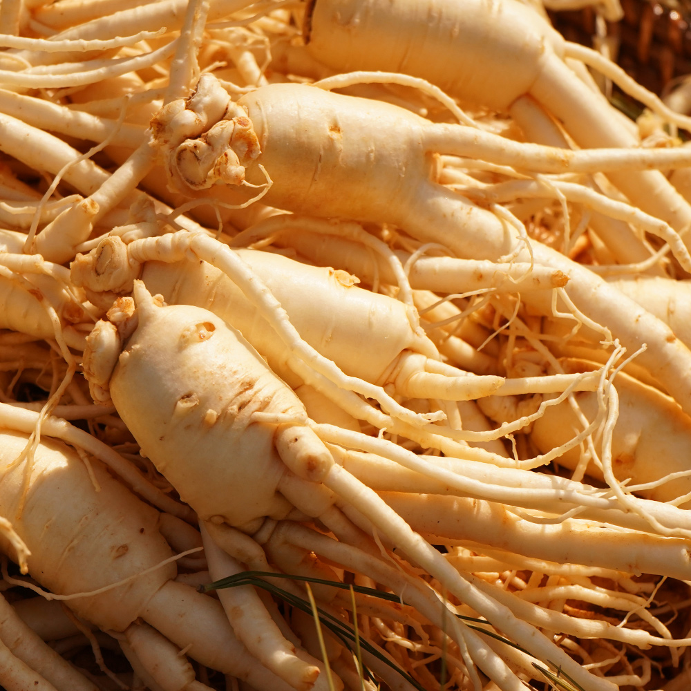 농가살리기 금산 수삼, 375g, 1팩, 10뿌리내외