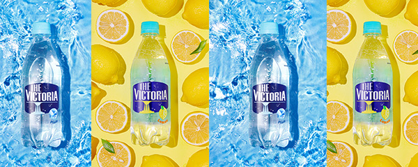 더 빅토리아, 플레인 500ml 20개 + 레몬 500ml 20개