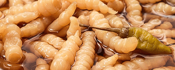 약이되는밥상 초석잠 장아찌, 1kg, 1팩
