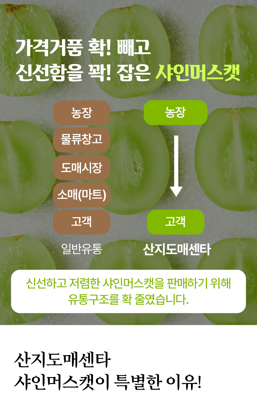 망고포도 샤인머스캣 하우스, 1송이, 450g 내외, 1박스 상세 이미지 4