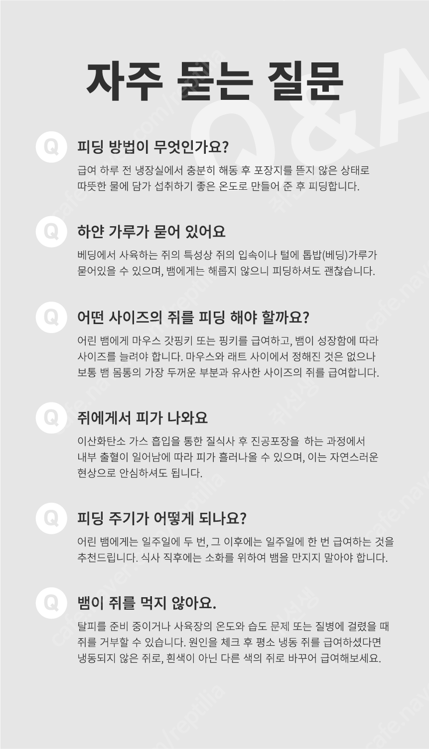 쥐선생 냉동마우스, 2g, 10개입, 1세트 상세 이미지 6