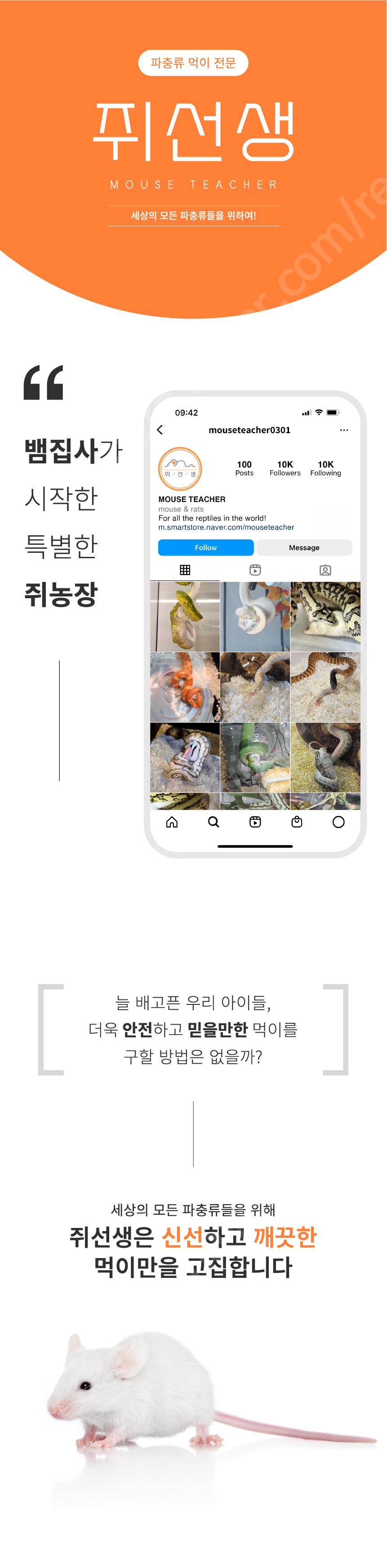 쥐선생 냉동마우스, 2g, 10개입, 1세트 상세 이미지 1