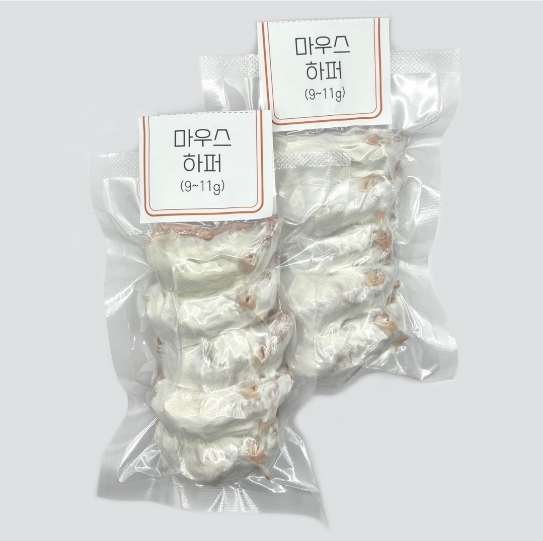 쥐선생 냉동마우스, 하퍼, 10g, 10개, 1개