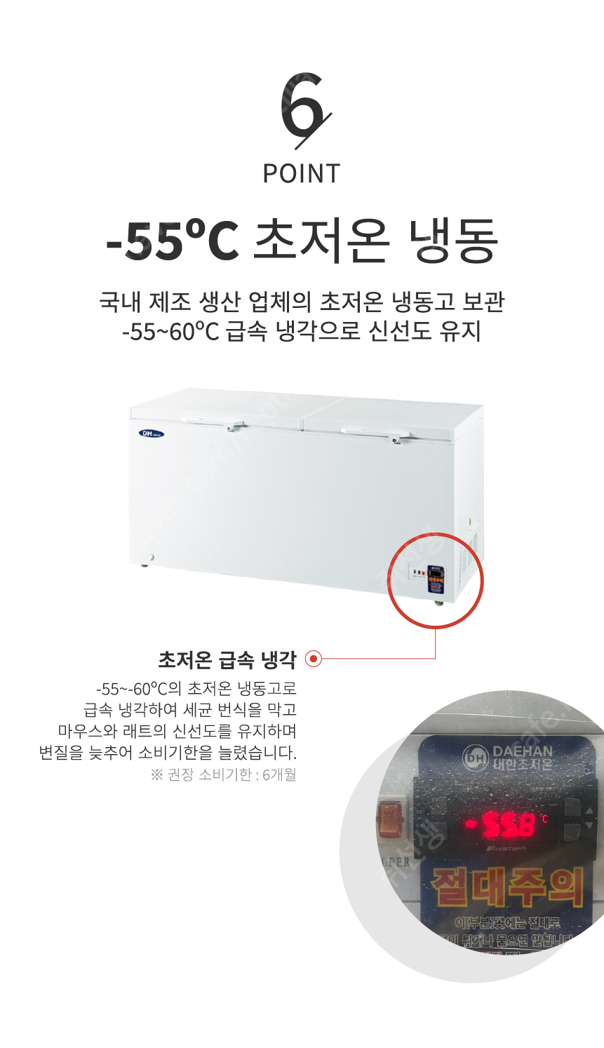 쥐선생 냉동마우스, 2g, 10개입, 1세트 상세 이미지 5