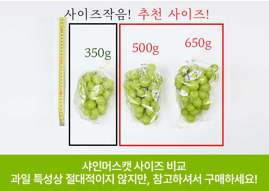 망고포도 샤인머스캣 하우스, 1송이, 450g 내외, 1박스 상세 이미지 3