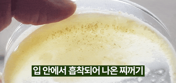 글루글루 하루가글, 프레쉬쿨향, 36정, 2개 상세정보 11