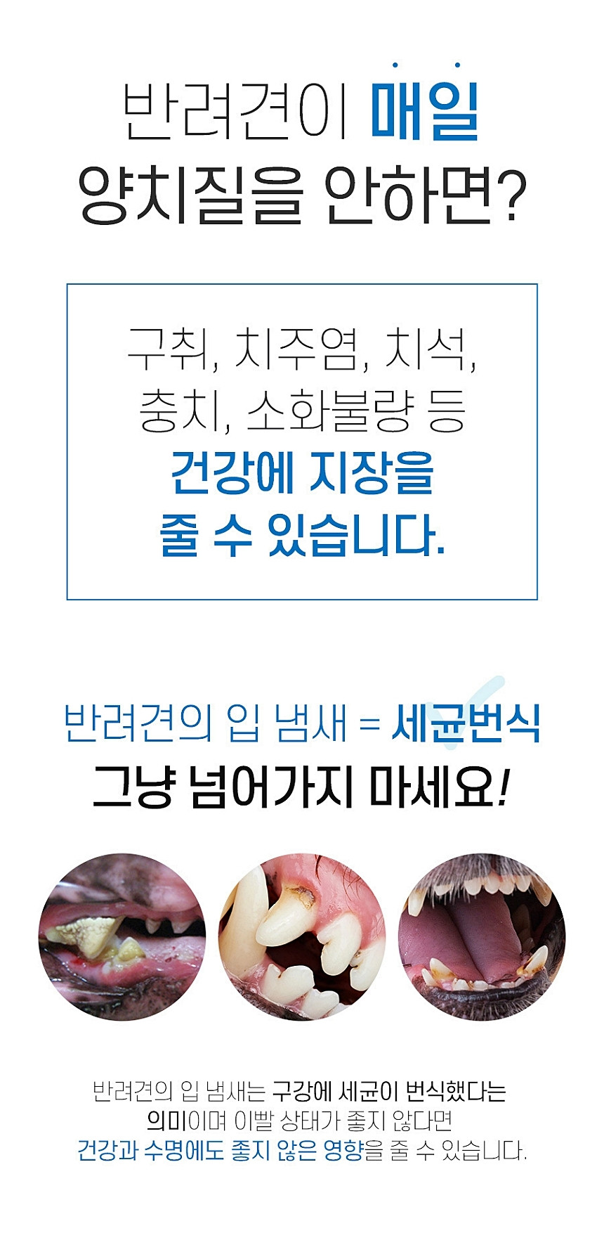 포켄스 덴티3페어리, L, 32개입, 1개 상세 이미지 5