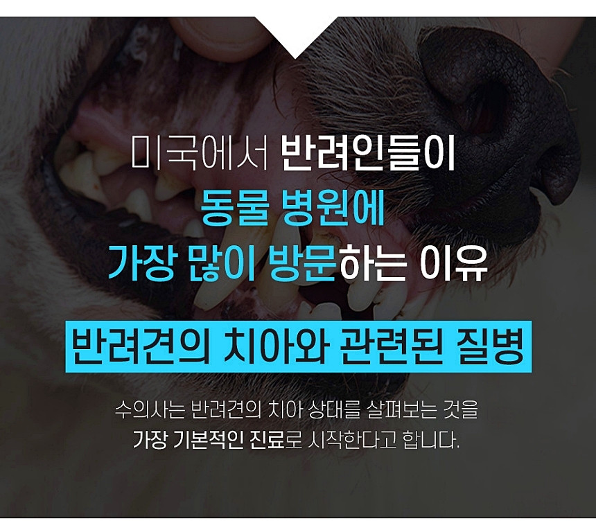포켄스 덴티3페어리, L, 32개입, 1개 상세 이미지 6