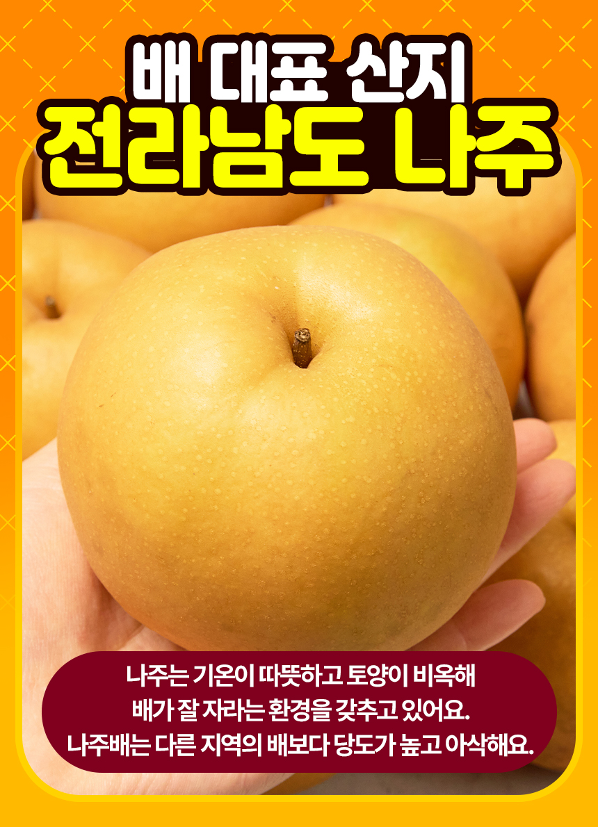 나주배 신고배, 3kg, 7-10과, 1박스 상세 이미지 3