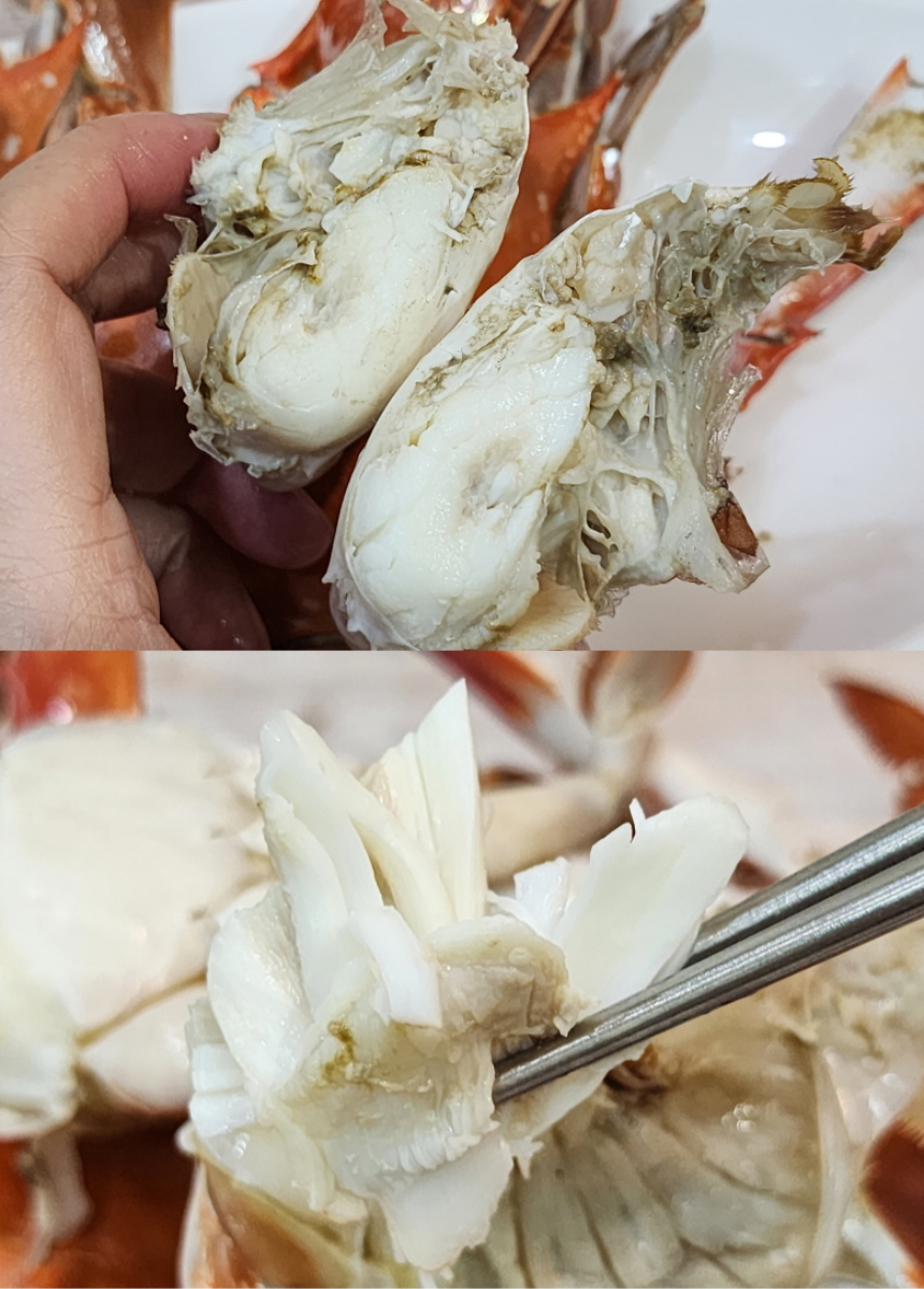 찬바다 국내산 생물 숫꽃게, 1kg, 1세트