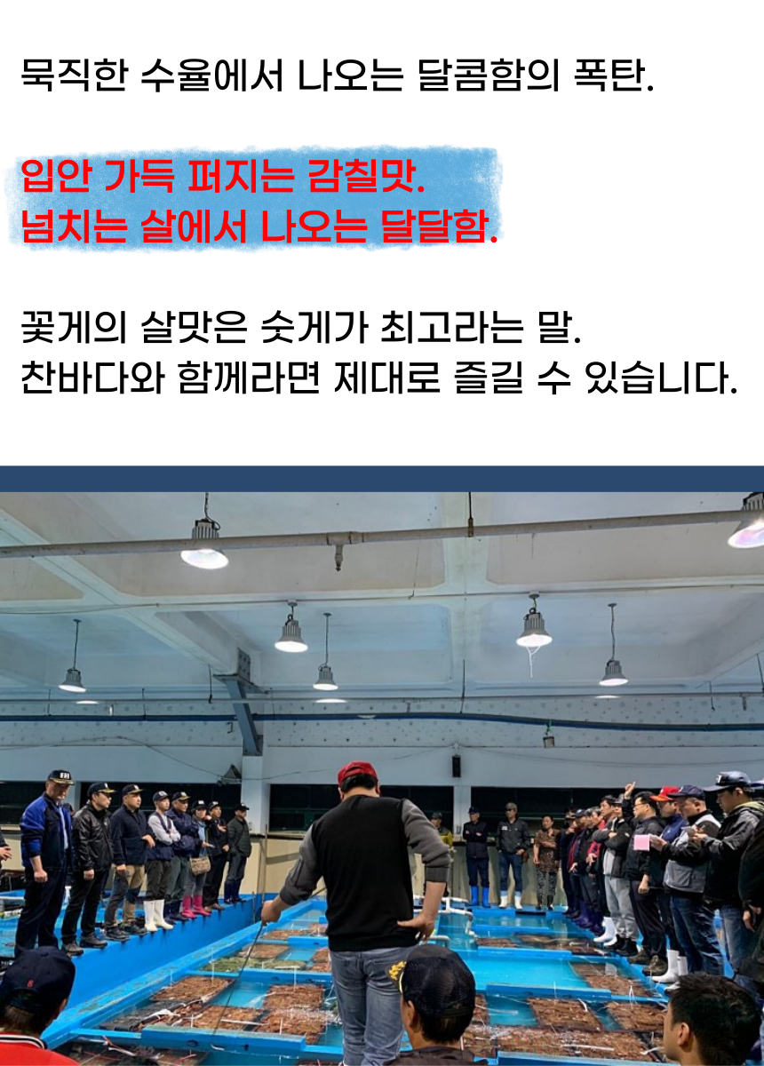 찬바다 국내산 생물 숫꽃게, 1kg, 1세트