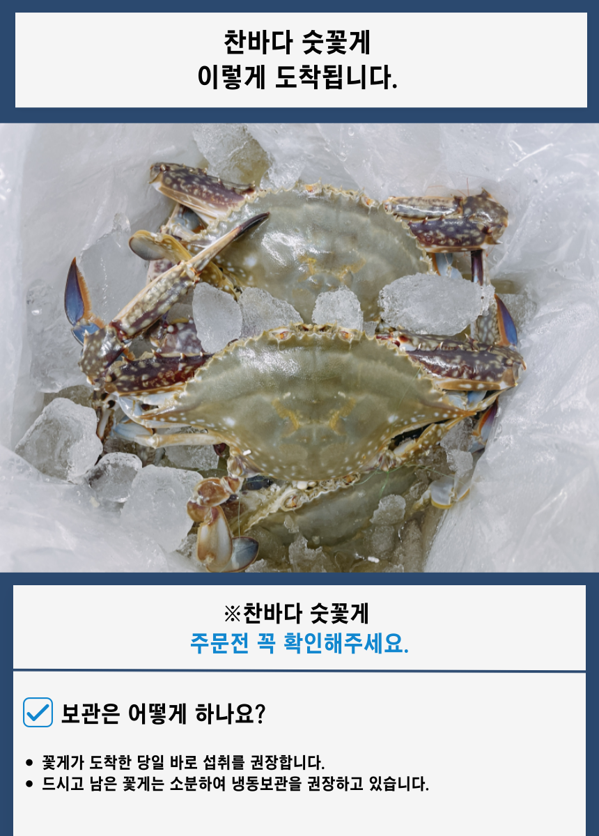 찬바다 국내산 생물 숫꽃게, 1kg, 1세트