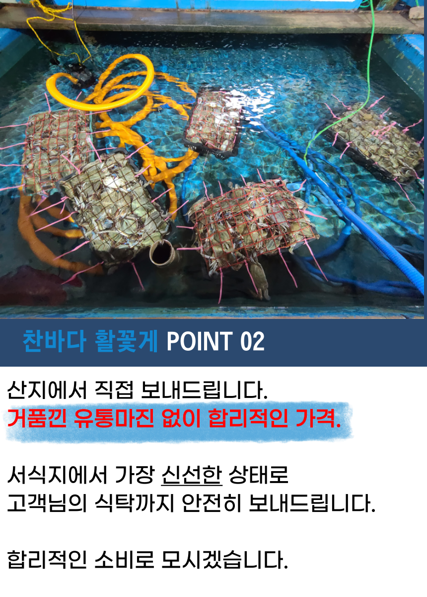 찬바다 국내산 생물 숫꽃게, 1kg, 1세트