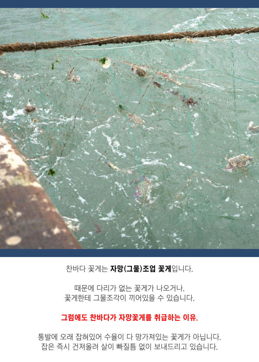 찬바다 국내산 생물 숫꽃게, 1kg, 1세트