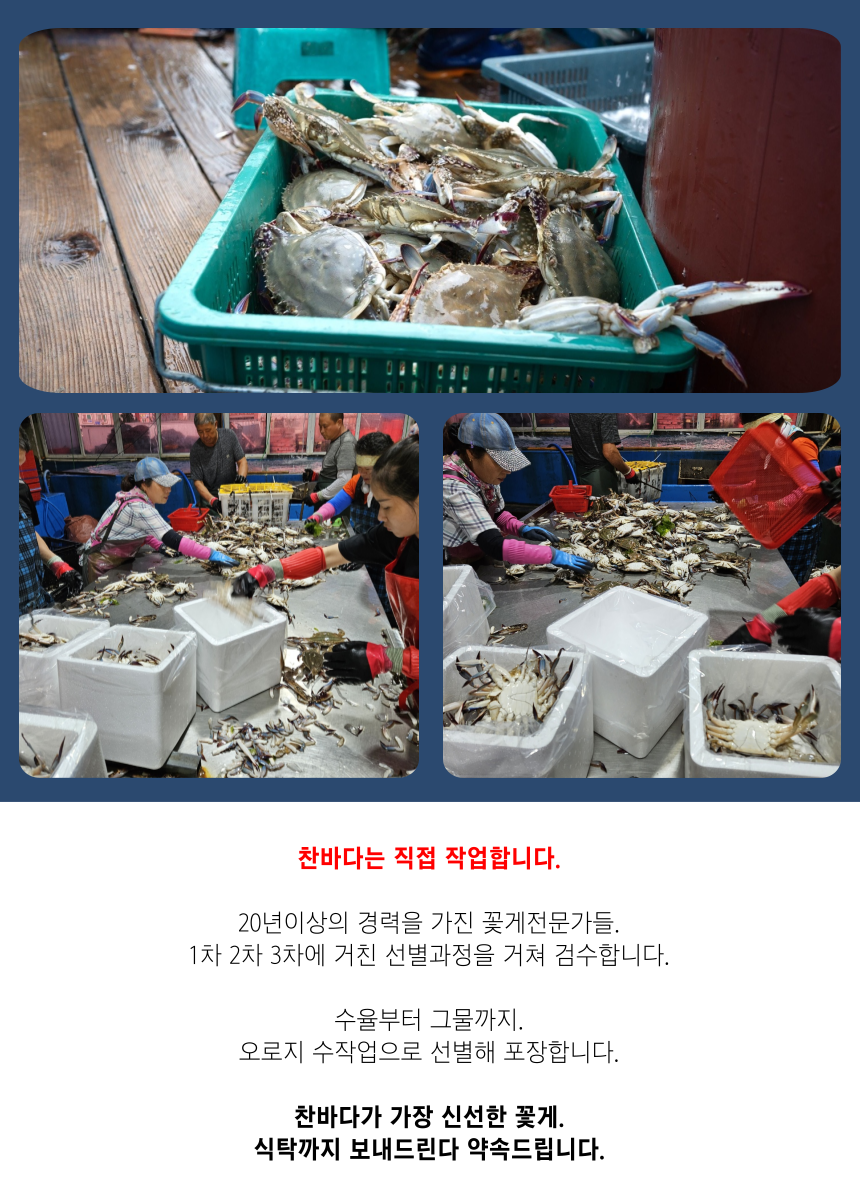 찬바다 국내산 생물 숫꽃게, 1kg, 1세트
