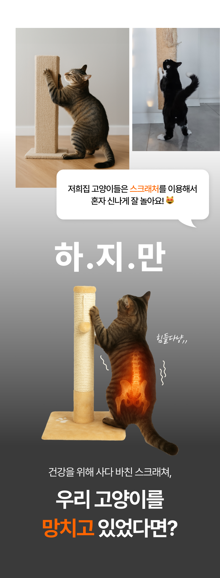 요미솜 102도 허리보호 친환경 고양이스크래쳐 리필용, 38x25x60cm, 1개 상세 이미지 2