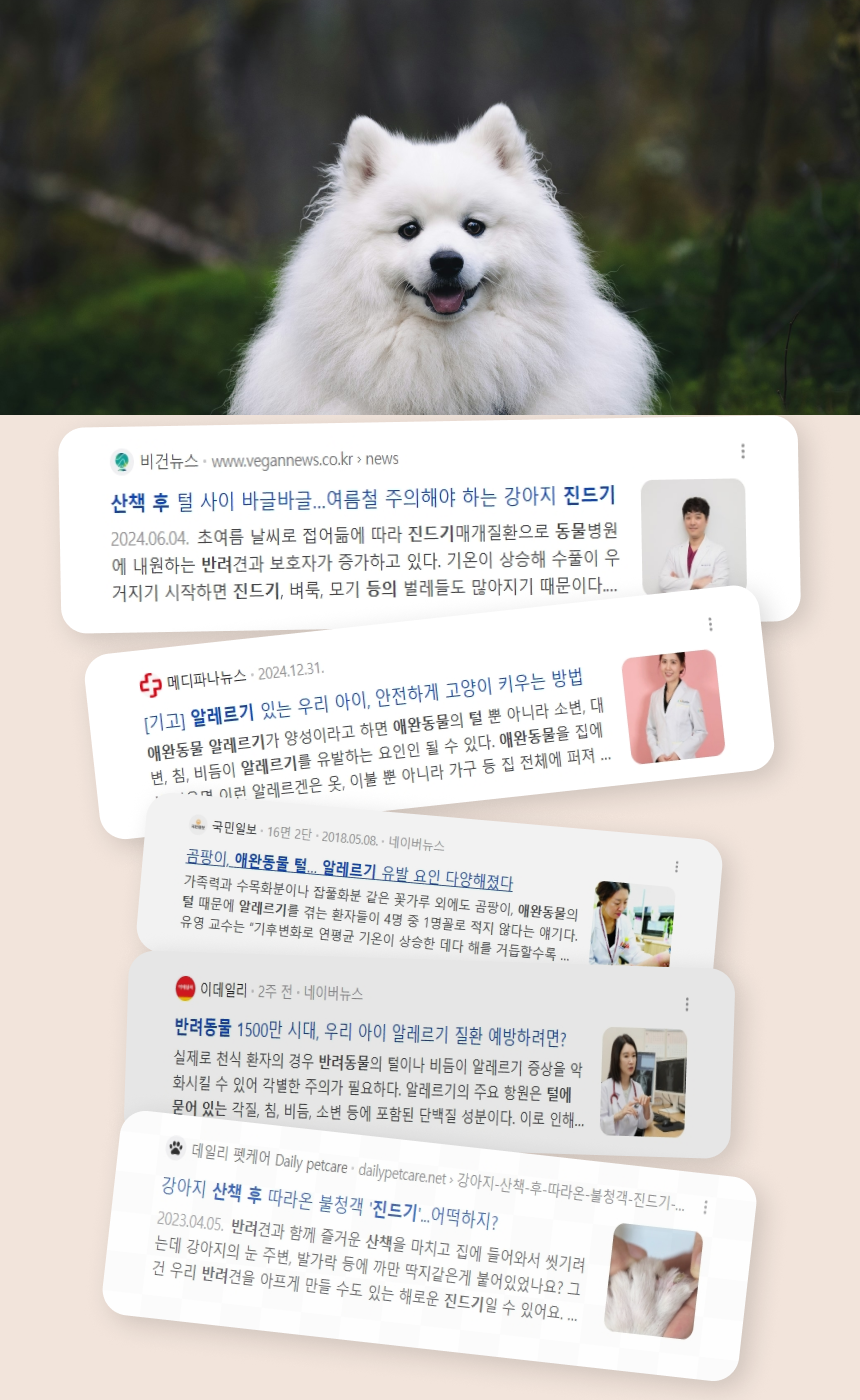 뽀빠이형 애완동물 원터치 털제거 곰돌이 브러쉬, 화이트, 1개 상세 이미지 2