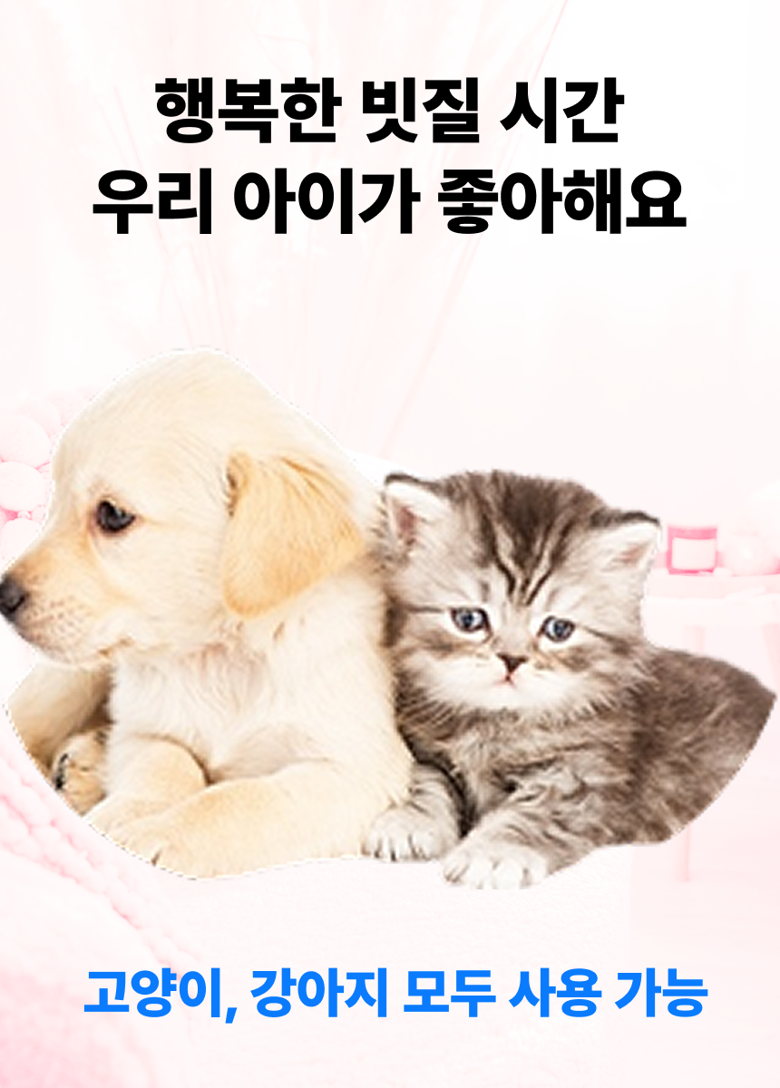 뽀빠이형 애완동물 원터치 털제거 곰돌이 브러쉬, 화이트, 1개 상세 이미지 6
