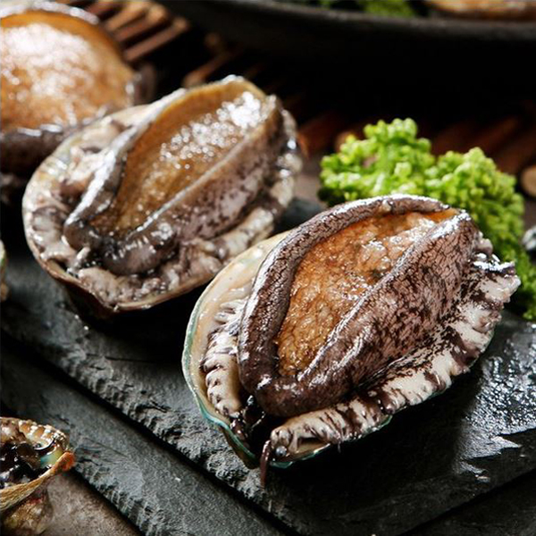 해신수산 완도활전복, 대, 12-14미, 1kg, 1개 상품 이미지 1