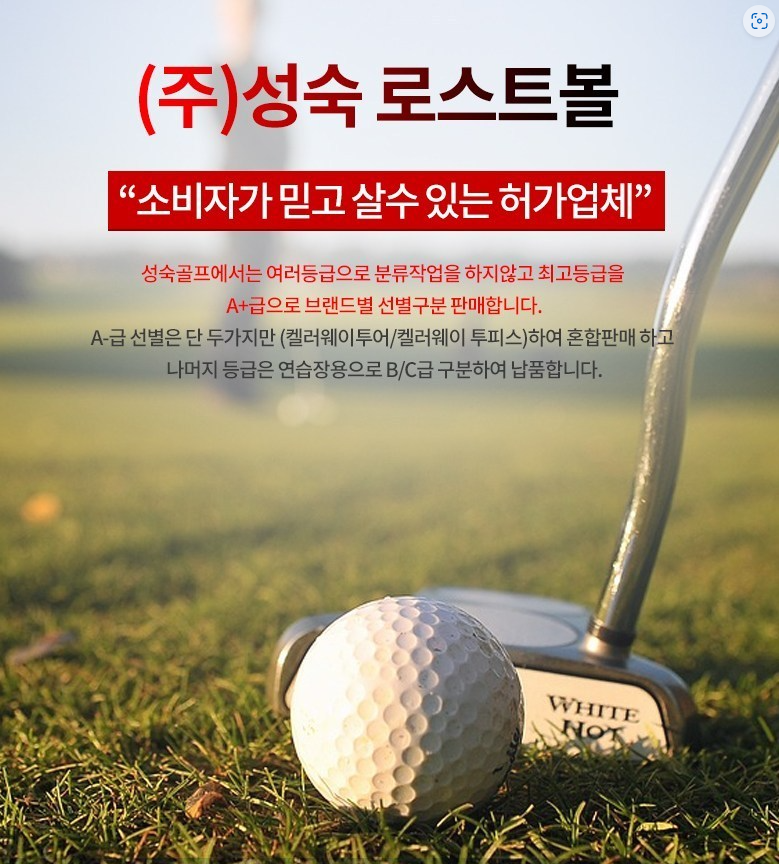 성숙골프 로스트볼, 흰색, 30개, 1세트 상세 이미지 2