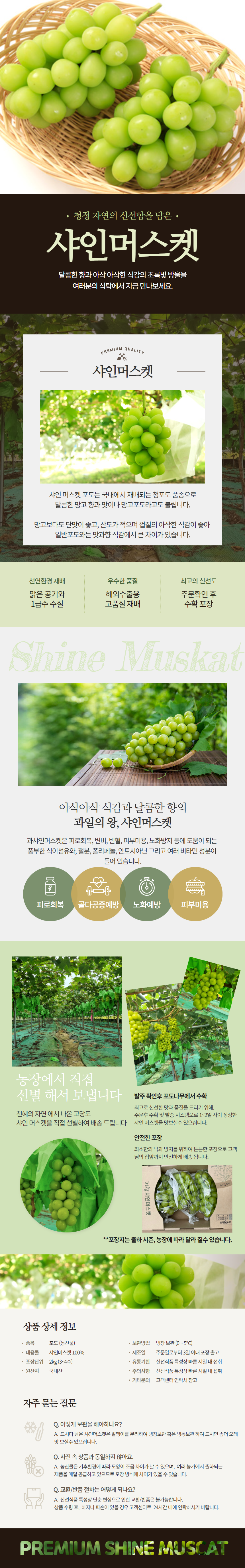 샤인머스켓 가정용, 4-6송이, 2kg, 1개 상세정보 1