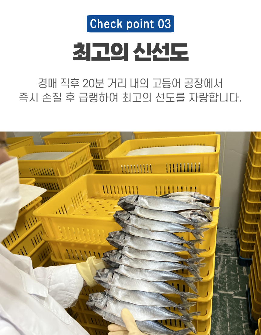 국내산 중사이즈 자반 고등어, 10마리, 2.8kg 내외, 1세트