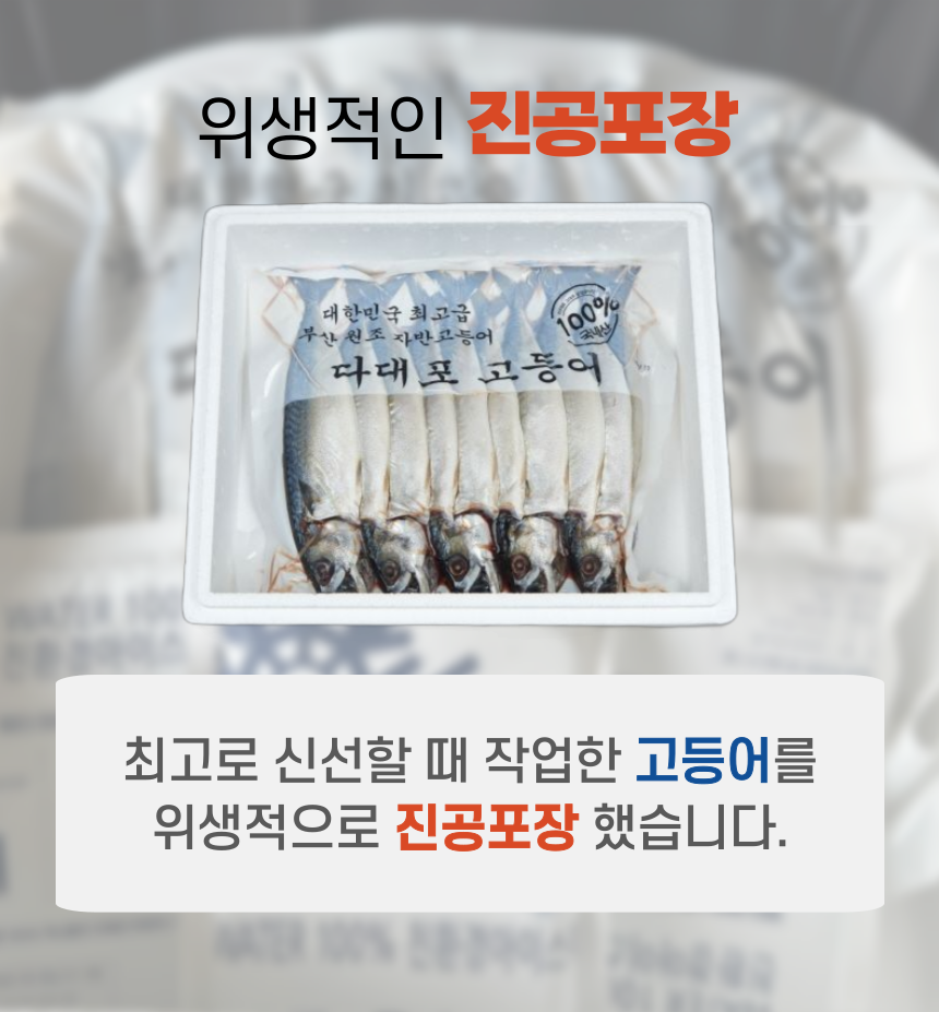 국내산 중사이즈 자반 고등어, 10마리, 2.8kg 내외, 1세트