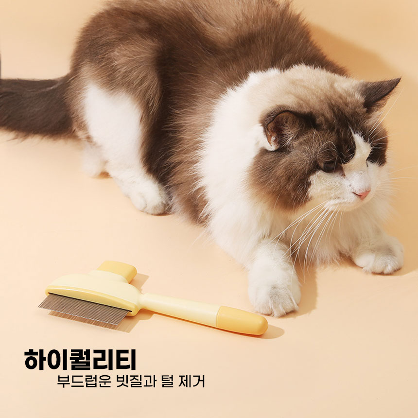 원터치 냥이멍이 빗, 옐로우, 1개 상세 이미지 4