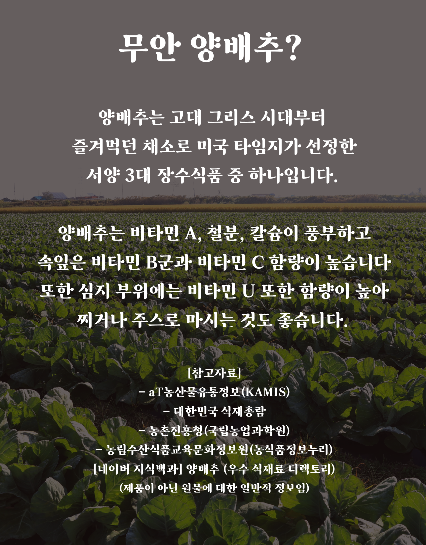 황파 양배추즙, 100ml, 100포