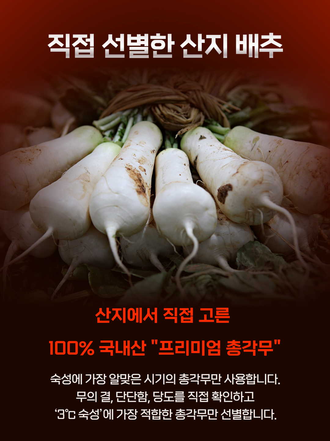 옥돌김치 333 프리미엄 총각김치, 2kg, 1개