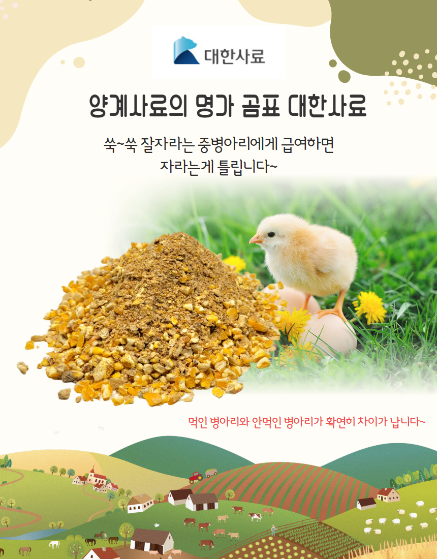 대한사료 중병아리 가루사료, 병아리, 2kg, 1개 상세 이미지 1