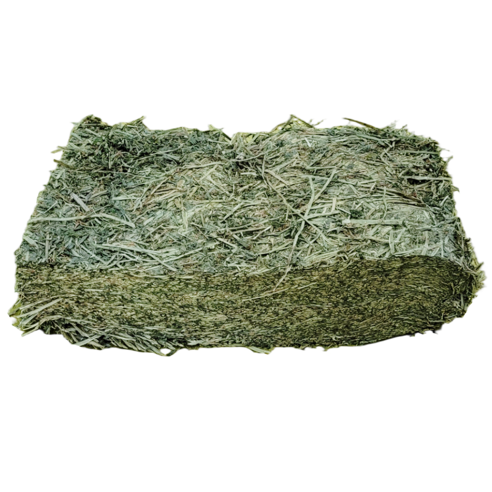 건초 슈퍼프리미엄 알팔파, 5kg, 1개