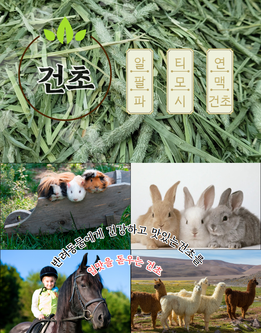 건초 슈퍼 프리미엄 티모시, 5kg, 1개 상세 이미지 1