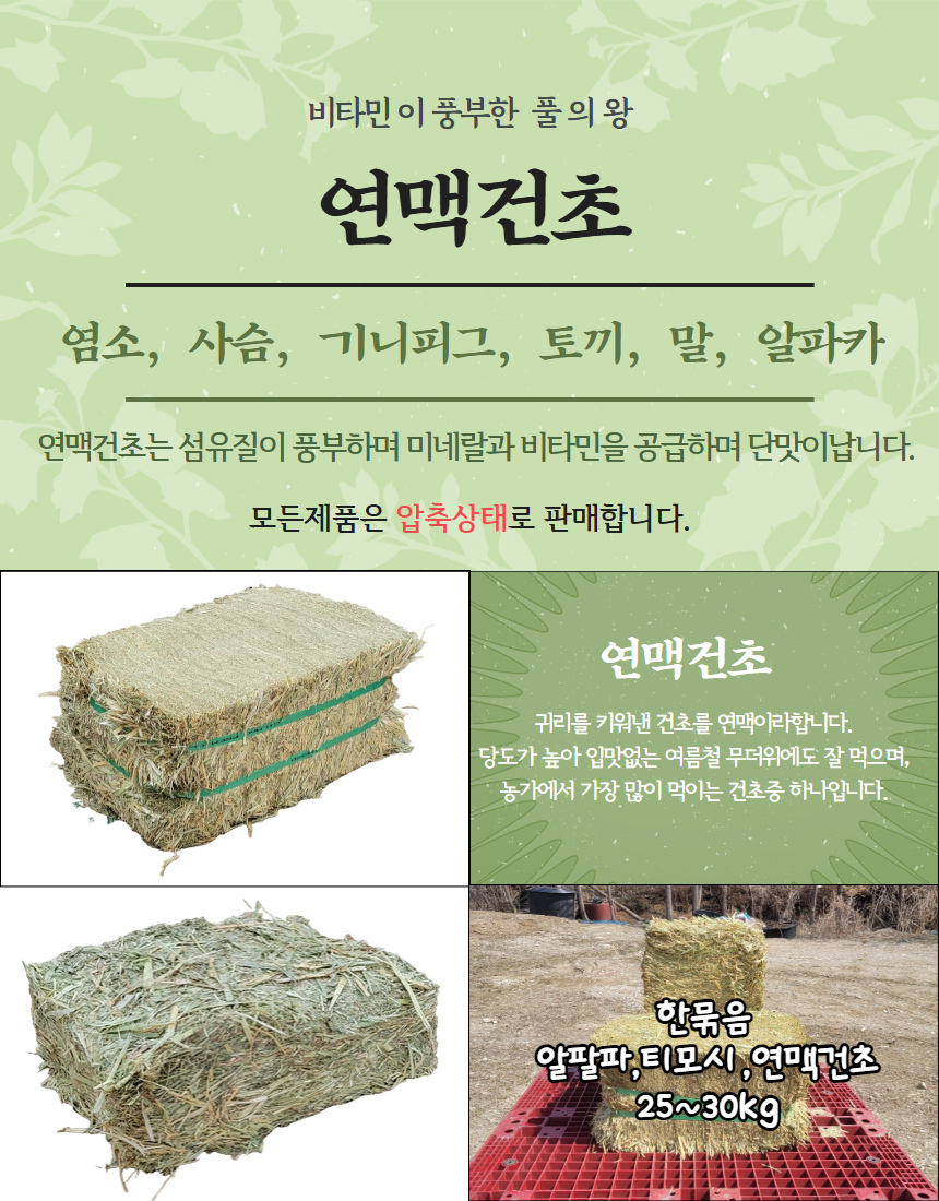 건초 슈퍼 프리미엄 티모시, 5kg, 1개 상세 이미지 5