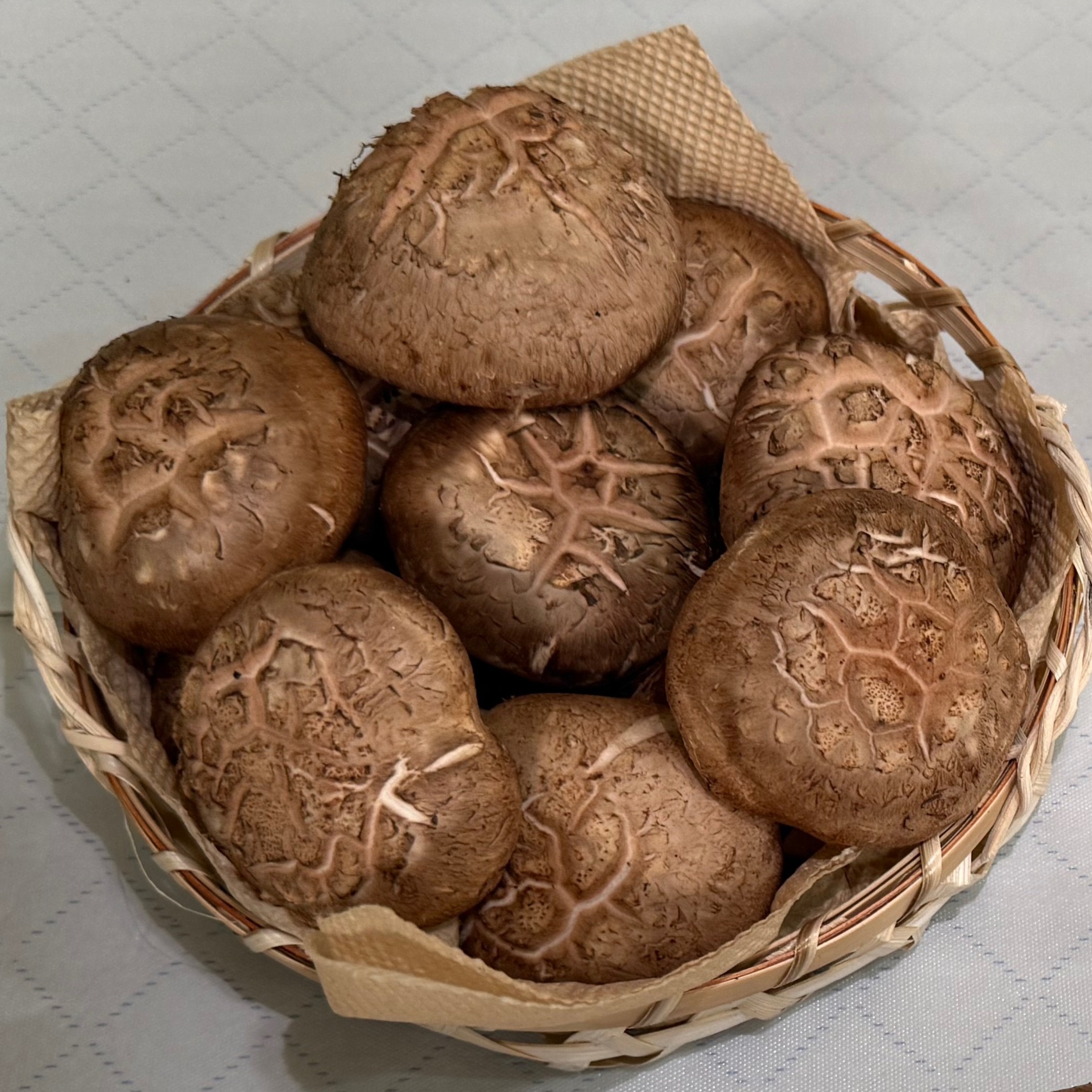 국내산 표고버섯, 중품, 1kg, 1개