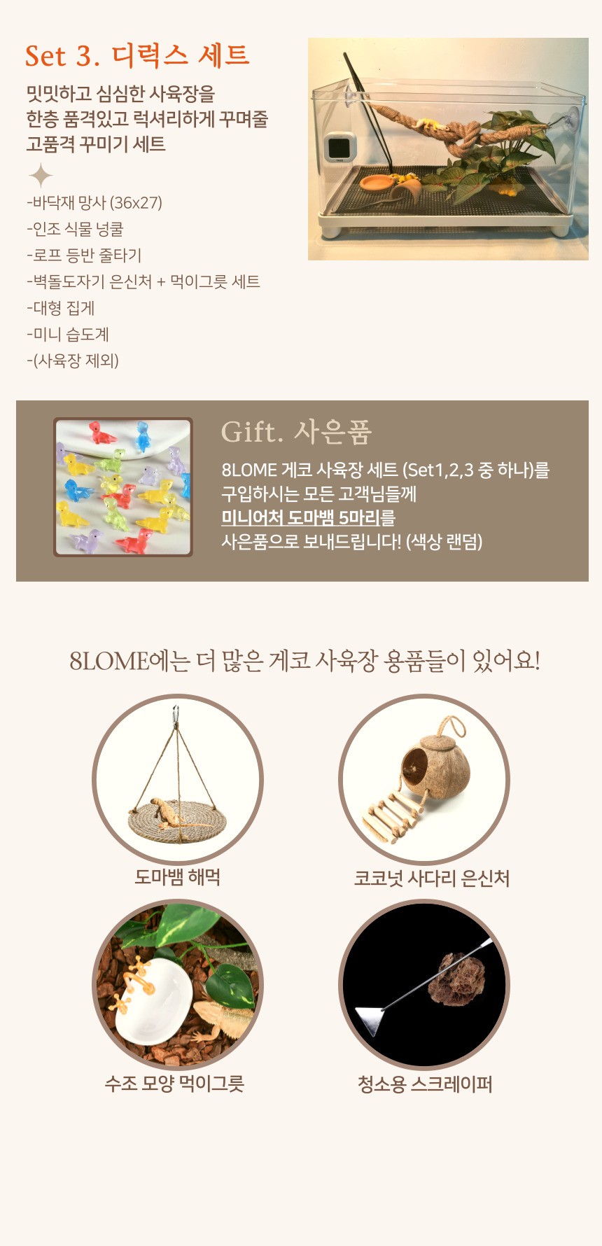 블로메 게코 도마뱀 사육장 세트, 크림 화이트, 1세트 상세 이미지 5