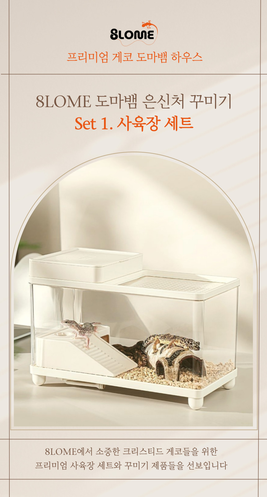 블로메 게코 도마뱀 사육장 세트, 크림 화이트, 1세트 상세 이미지 1