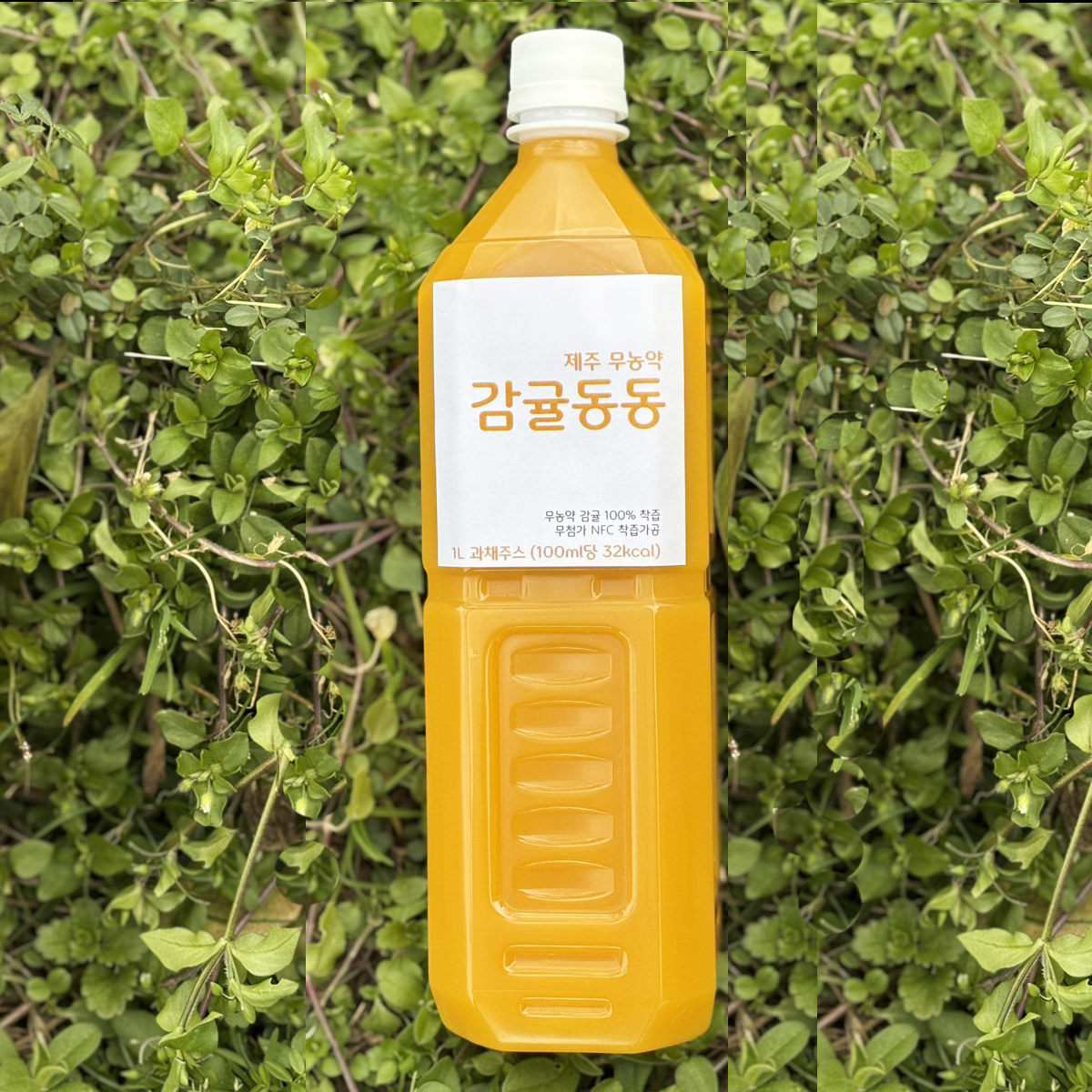 감귤동동, 1L, 20000개