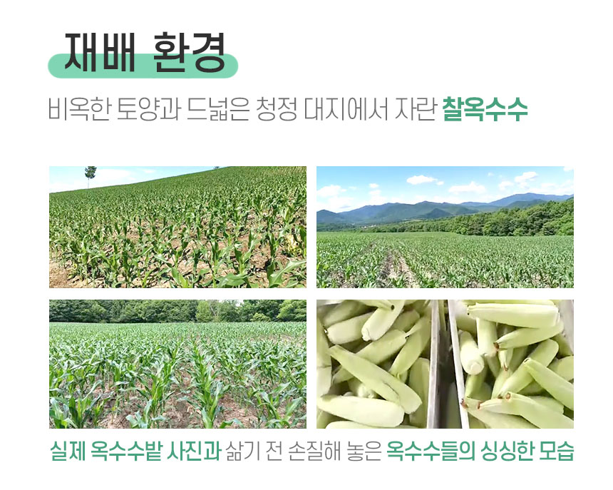 무한상사 냉동삶은옥수수, 2kg 내외, 1박스