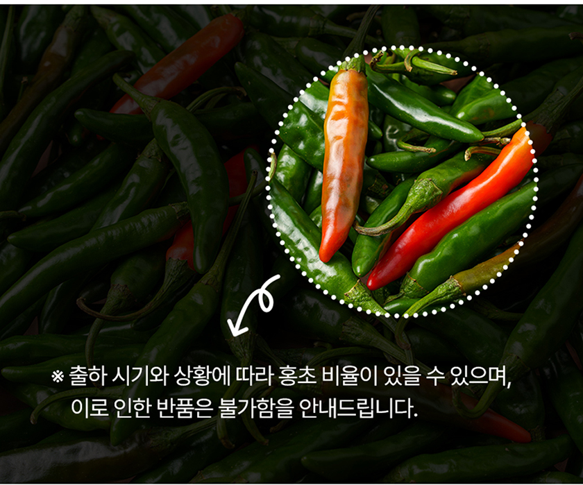 전라도청년 국내산 청양고추, 상, 1kg, 1박스